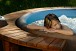 Casa dei Nonni - Casa vacanze Nonina Hiža | Foto 2